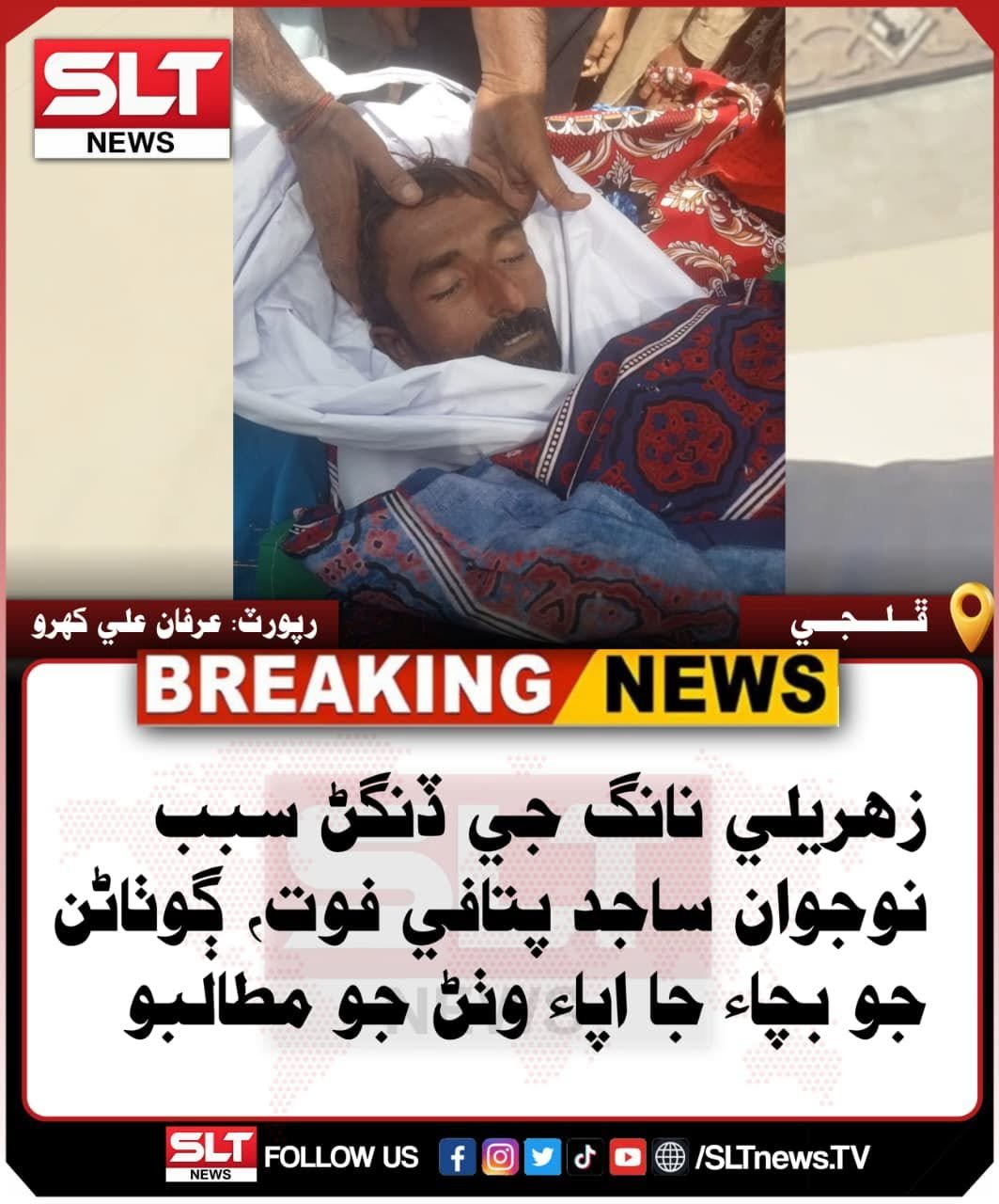 نوجوان ساجد پٽافي زهريلي سانپ جي کاٽ سبب وفات پذير ٿيو